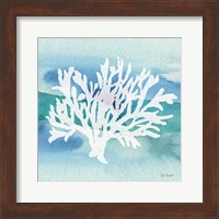 Framed Sea Life Coral II