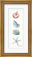 Framed Sea Finds IV (panel)