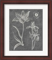 Framed Eden Spring II Gray