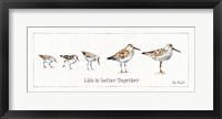 Framed Pebbles and Sandpipers I