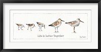 Framed Pebbles and Sandpipers I