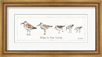 Framed Pebbles and Sandpipers IX