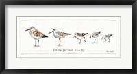Framed Pebbles and Sandpipers IX