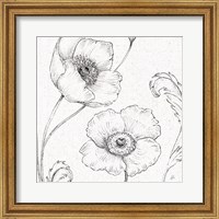 Framed Blossom Sketches I
