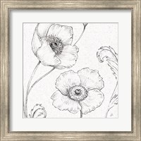 Framed Blossom Sketches I