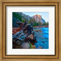 Framed Tree roots in Merced River in the Yosemite Valley