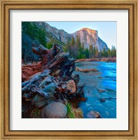 Framed Tree roots in Merced River in the Yosemite Valley