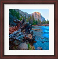 Framed Tree roots in Merced River in the Yosemite Valley
