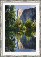 Framed El Capitan reflected in Merced River Yosemite NP, CA