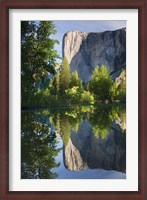 Framed El Capitan reflected in Merced River Yosemite NP, CA