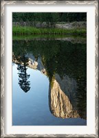 Framed Reflection of El Capitan in Mercede River, Yosemite National Park, California - Vertical