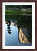 Framed Reflection of El Capitan in Mercede River, Yosemite National Park, California - Vertical