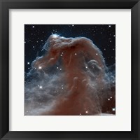 Framed Hubble Sees a Horsehead of a Different Color