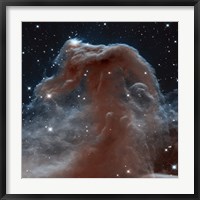 Framed Hubble Sees a Horsehead of a Different Color