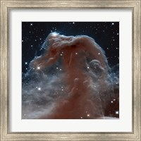 Framed Hubble Sees a Horsehead of a Different Color