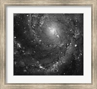 Framed Hubble Space Telescope Imaging of Hot Gas and Star Birth in M101