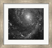 Framed Hubble Space Telescope Imaging of Hot Gas and Star Birth in M101