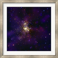 Framed Westerlund 2, a Young Star Cluster