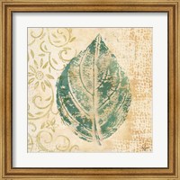 Framed Leaf  Scroll I