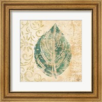 Framed Leaf  Scroll I