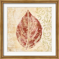 Framed Leaf Scroll II