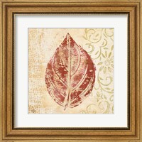 Framed Leaf Scroll II