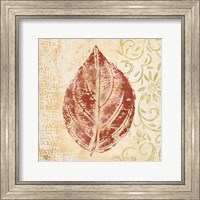 Framed Leaf Scroll II