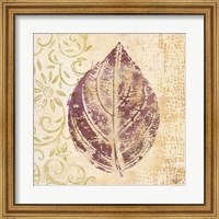 Framed Leaf Scroll III