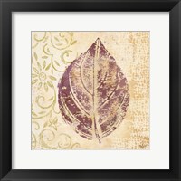 Leaf Scroll III Framed Print