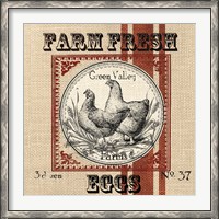 Framed Organic Farm II