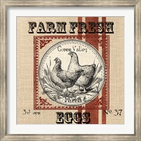 Framed Organic Farm II