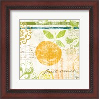 Framed Fruit Crush III