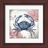 Framed Coastal Sea Life II