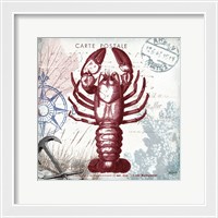 Framed 'Coastal Sea Life III' border=