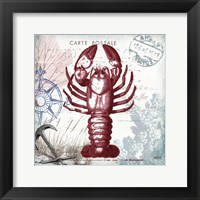 Coastal Sea Life III Framed Print