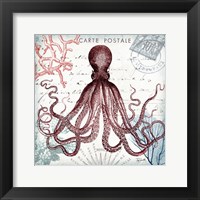 Coastal Sea Life IV Framed Print