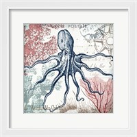 Framed 'Coastal Sea Life V' border=