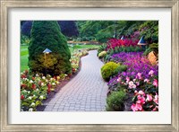 Framed Path and Flower Beds in Butchart Gardens, Victoria, British Columbia, Canada