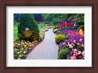 Framed Path and Flower Beds in Butchart Gardens, Victoria, British Columbia, Canada