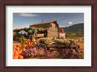Framed Log Barn and Fruit Stand in Autumn, British Columbia, Canada