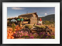 Framed Log Barn and Fruit Stand in Autumn, British Columbia, Canada