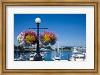 Framed British Columbia, Victoria, Boat Harbor