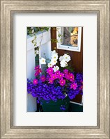 Framed British Columbia, Victoria, Flower Pot