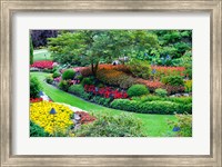 Framed Butchart Gardens in Full Bloom, Victoria, British Columbia, Canada
