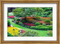 Framed Butchart Gardens in Full Bloom, Victoria, British Columbia, Canada