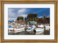 Framed Port Alberni, Harbor Quay Marina, Vancouver Island, British Columbia, Canada