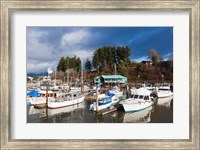 Framed Port Alberni, Harbor Quay Marina, Vancouver Island, British Columbia, Canada