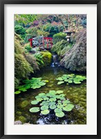 Framed Red Bridge, Autumn Color, Butchard Gardens, Victoria, British Columbia, Canada