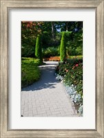 Framed Trail Through the Butchard Gardens, Victoria, British Columbia, Canada