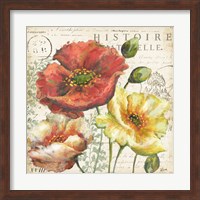 Framed Spice Poppies Histoire Naturelle I